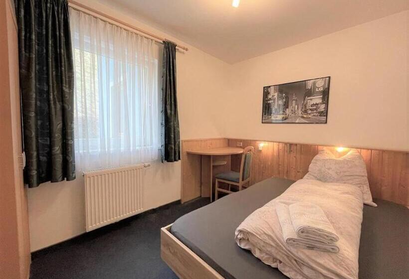اتاق استاندارد یک نفره, Haus Heimat Wagrain