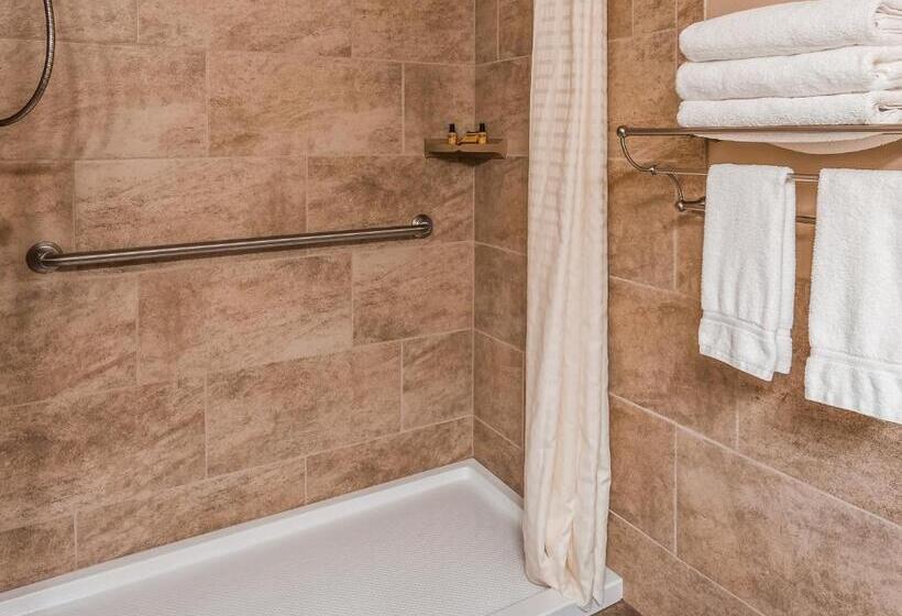 Номер Стандарт Кровать Квин Адаптированный для Инвалидов, Best Western Plus Concord Inn