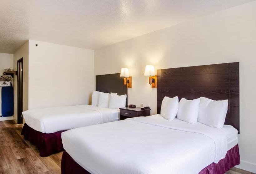 标准间, Americas Best Value Inn & Suites Ft. Collins E At I25