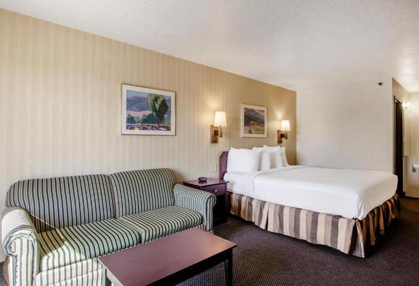 Стандартный Номер Кровать Кинг, Americas Best Value Inn & Suites Ft. Collins E At I25