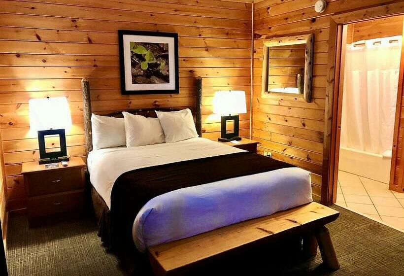 스탠다드 룸 퀸사이즈 침대, Mountain Top Inn And Resort