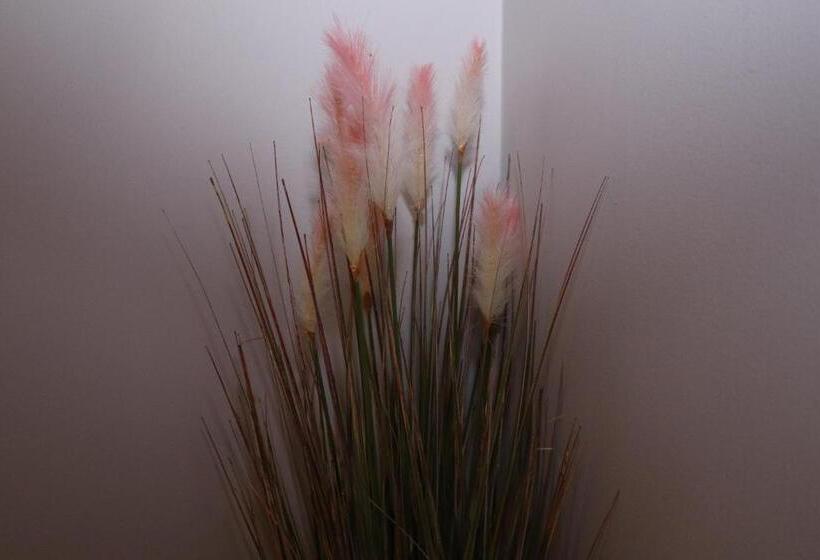 اتاق عادی, The Lavenders