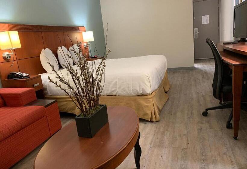 Стандартный Номер Кровать Кинг, The Hotel Orange