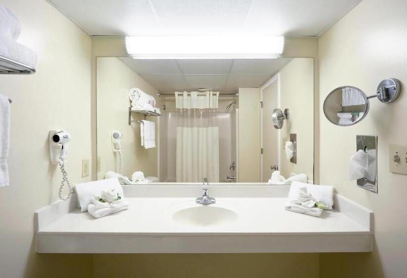 Quarto Estandar com Vistas, Paradise Plaza Inn