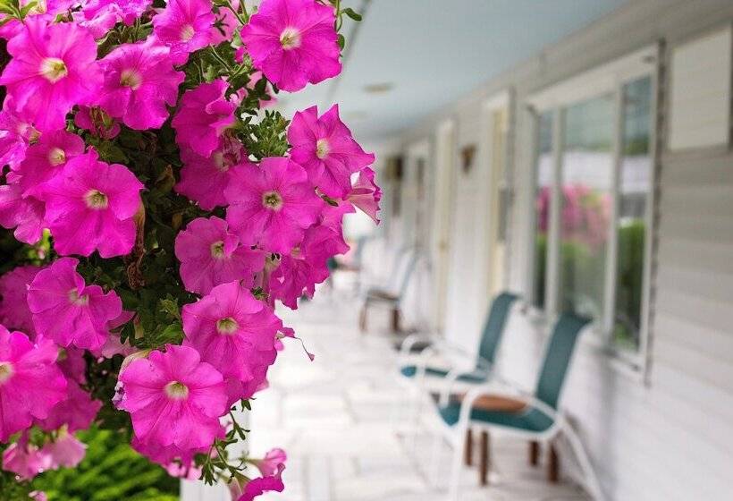 Номер Стандарт 2 Двуспальные Кровати, The Palmer House Resort, Ascend Hotel Collection