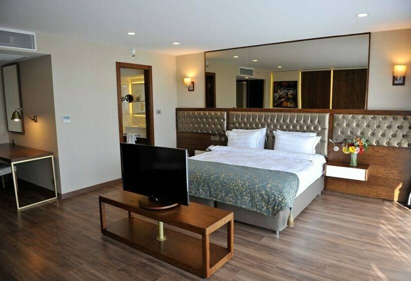 스탠다드 룸, Smart By Dedeman Eskisehir