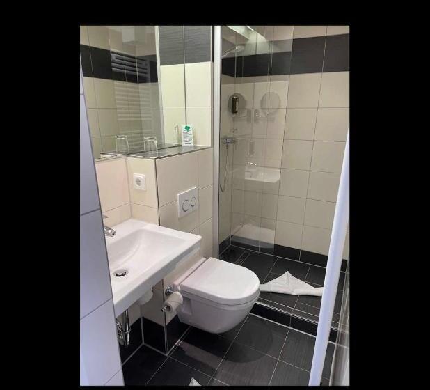Habitación Estàndard Individual, See