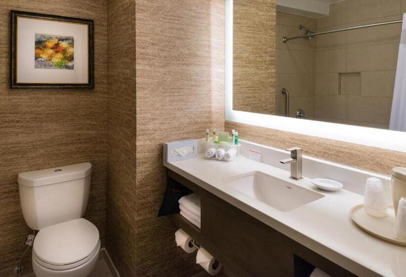 Люкс Кровать Кинг, Holiday Inn Express & Suites Pasadena   Los Angeles, An Ihg