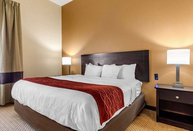 Люкс Адаптированный для Инвалидов, Comfort Inn & Suites Kenosha Pleasant Prairie