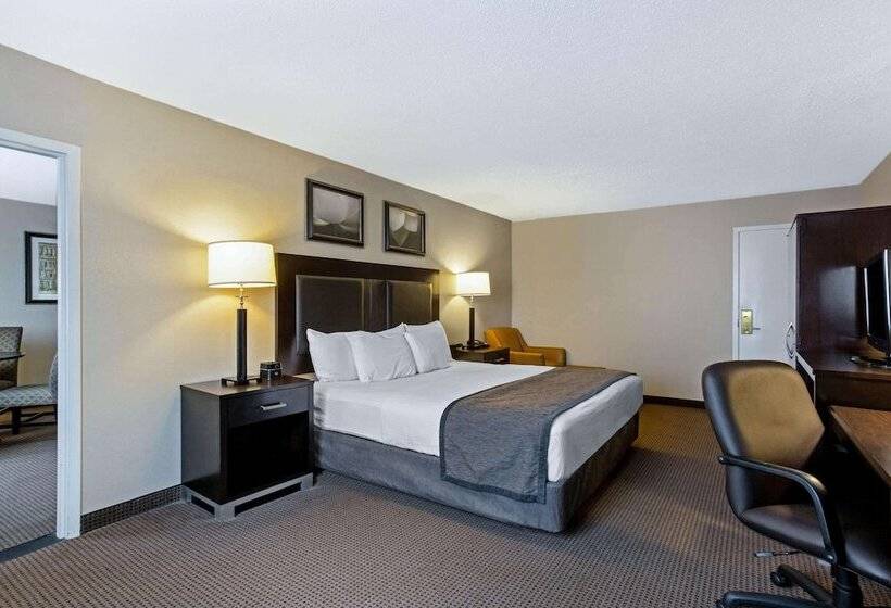 带大床的套房, Hampton Inn Manchester Downtown