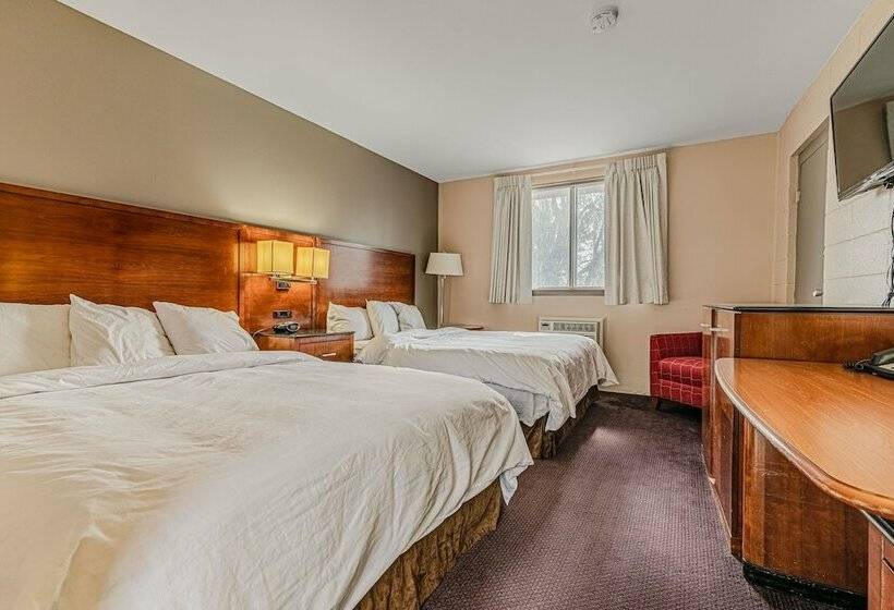 Номер Стандарт 2 Двуспальные Кровати, Skyview Inn