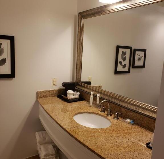 Номер Премиум, Country Inn & Suites By Radisson, Metairie New Orleans , La