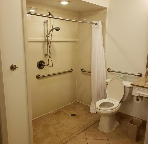 Номер Стандарт Кровать Кинг Адаптированный для Инвалидов, Country Inn & Suites By Radisson, Metairie New Orleans , La