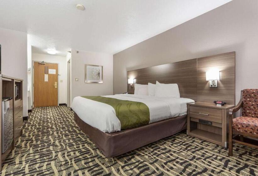 Стандартный Номер Кровать Кинг, Quality Inn & Suites West Omaha   Ne Linclon