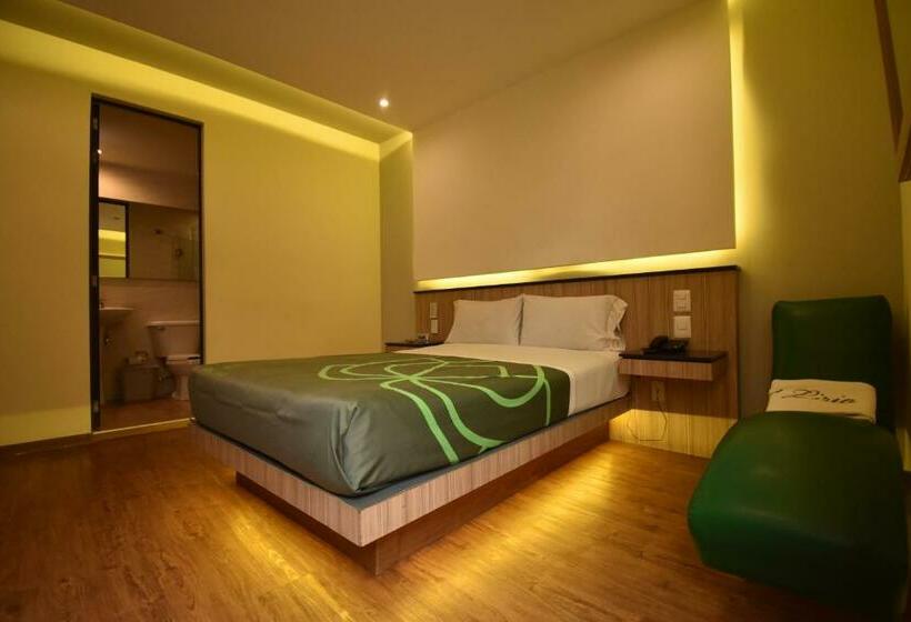 Quarto Superior, Lirio   Adult Only