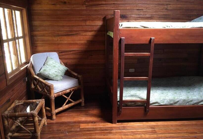 اتاق استاندارد, Guest House Great Hostels Amazon