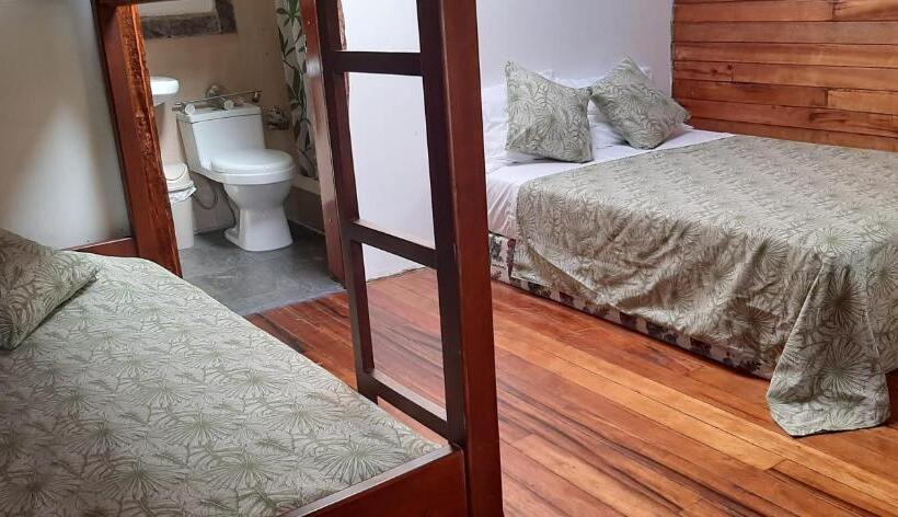اتاق استاندارد سه نفره, Guest House Great Hostels Amazon