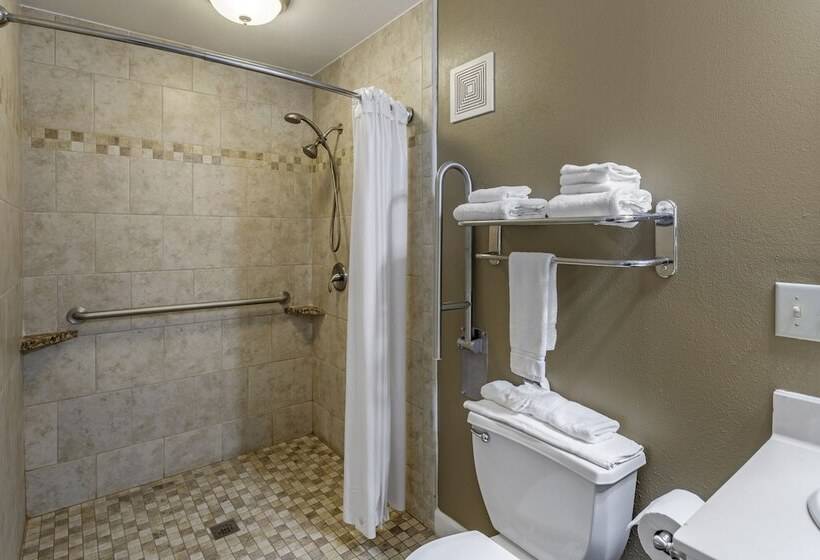 패밀리 스위트, Richland Inn Of Columbia