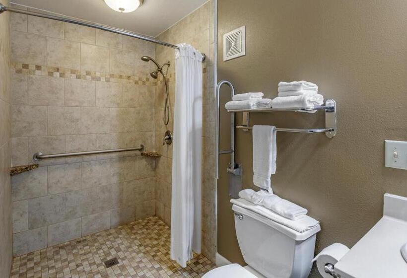 스탠다드 룸 킹사이즈 침대, Richland Inn Of Columbia