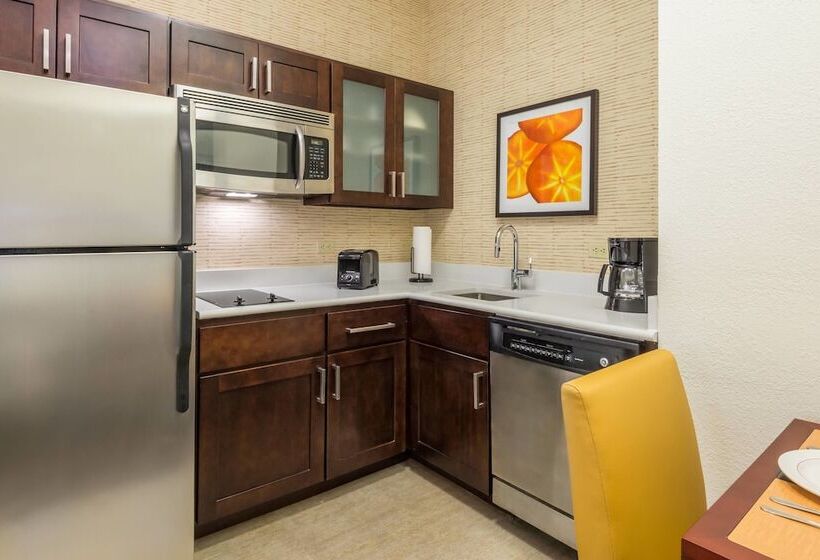 Suite Accessibile ai persone con mobilità ridotta, Residence Inn Chattanooga Downtown