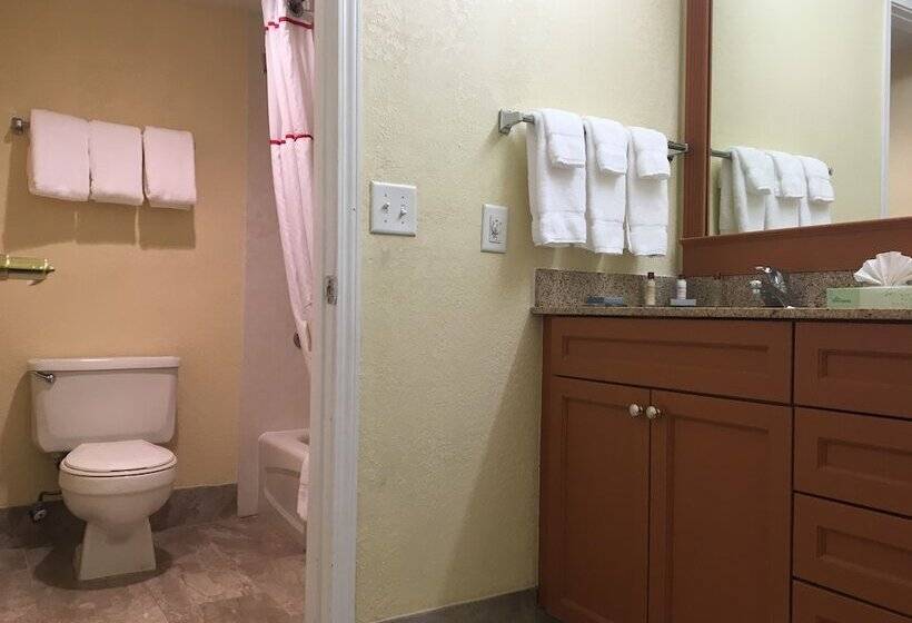 Студия Deluxe, Affordable Suites Of America Grand Rapids