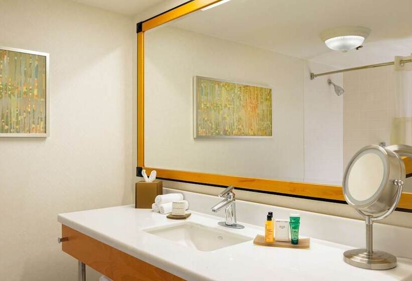 Deluxe Kamer met Kingsize Bed, Hilton San Francisco Airport Bayfront