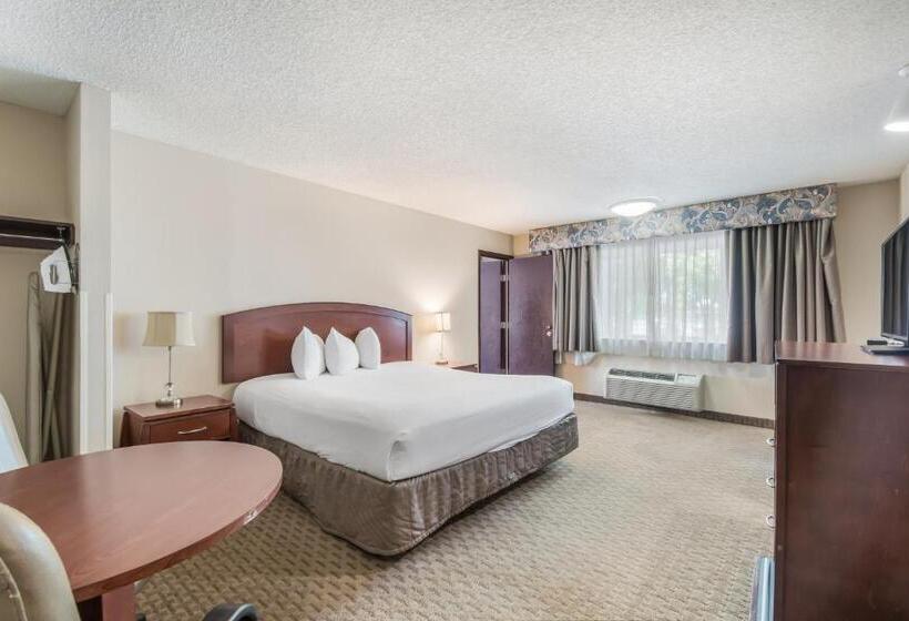 Engelliler için Büyük Çift Kişilik Yataklı Standart Oda, Red Lion Inn & Suites Vancouver