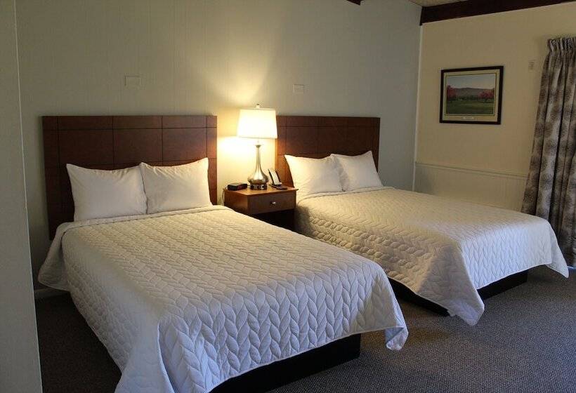 Номер Стандарт 2 Двуспальные Кровати, Shenvalee Golf Resort