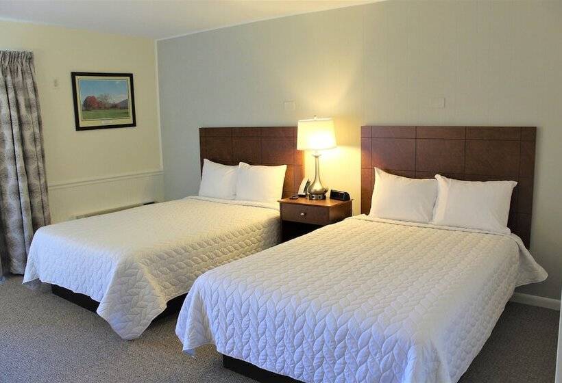 Номер Стандарт 2 Двуспальные Кровати, Shenvalee Golf Resort