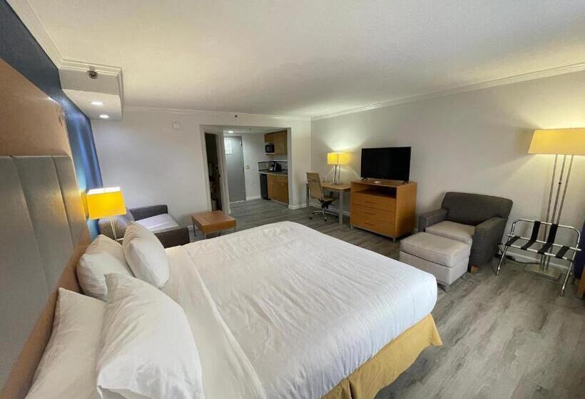سوئیت با تخت بزرگ, Comfort Inn & Suites Houston I10 West Energy Corridor