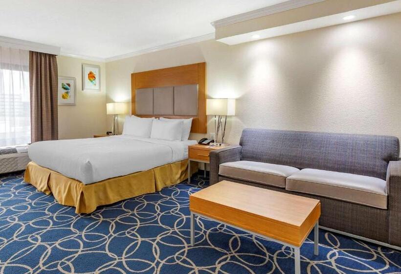 سوئیت با تخت بزرگ, Comfort Inn & Suites Houston I10 West Energy Corridor
