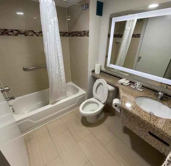 اتاق استاندارد با تخت بزرگ, Comfort Inn & Suites Houston I10 West Energy Corridor