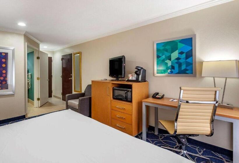 اتاق استاندارد با تخت بزرگ برای معلولان, Comfort Inn & Suites Houston I10 West Energy Corridor