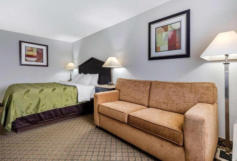 Standardzimmer King-Size Bett (behindertengerecht), Quality Inn Fort Wayne