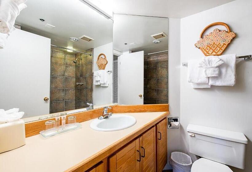 Апартаменты 1 Спальня, Silver King By All Seasons Resort Lodging