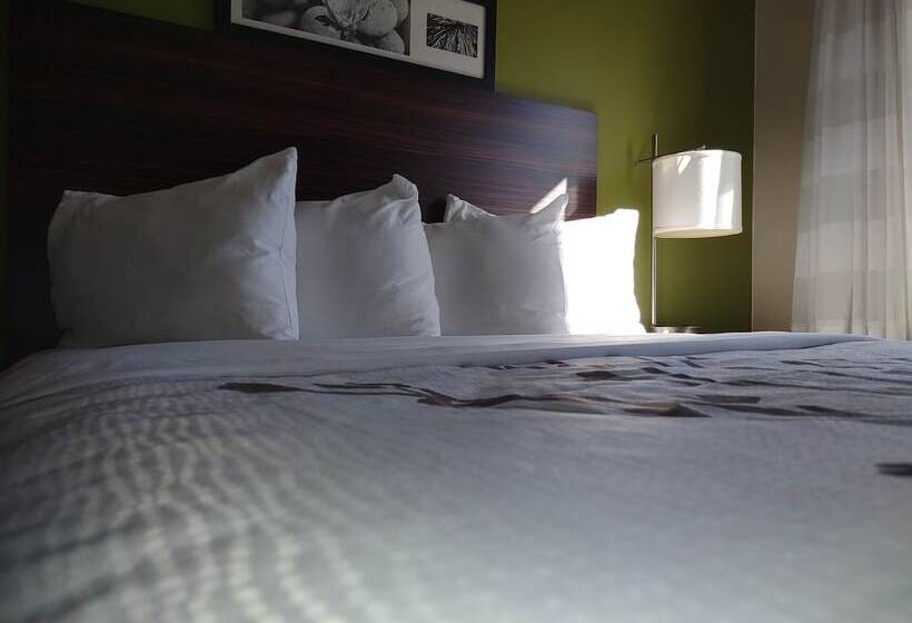 Номер Стандарт 2 Двуспальные Кровати, Sleep Inn