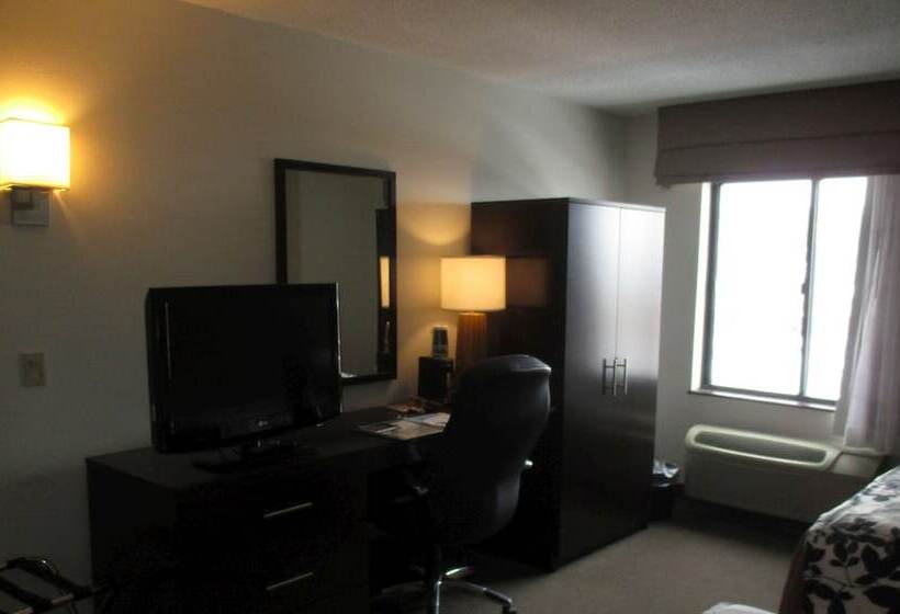 带2个双人床的标准工作室, Sleep Inn Johnstown