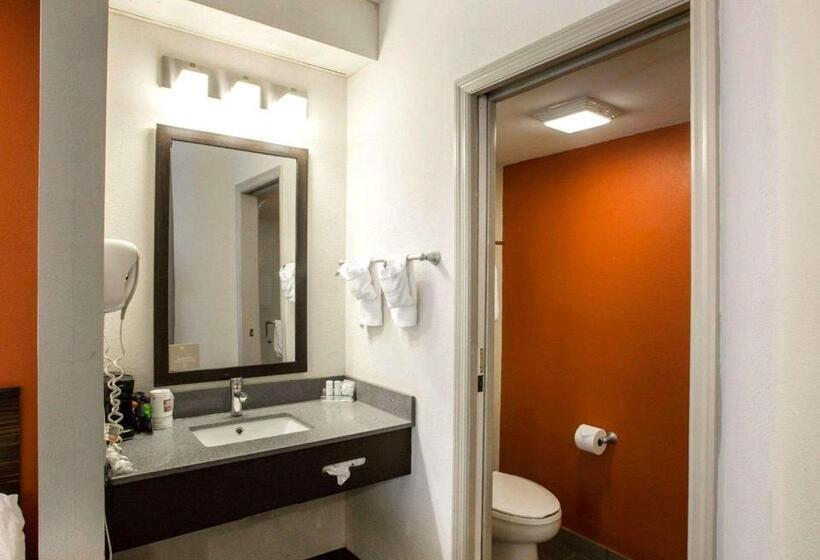스탠다드 룸, Sleep Inn Nashville   Brentwood   Cool Springs