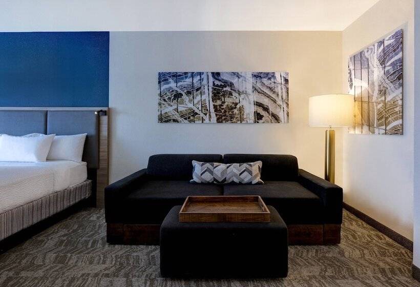 스위트, Springhill Suites By Marriott Las Cruces