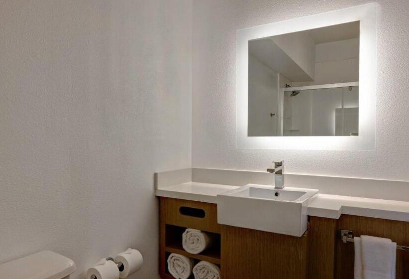 스위트 킹사이즈 침대, Springhill Suites By Marriott Las Cruces