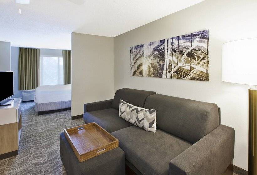 Люкс, Springhill Suites Minneapolisst. Paul Airport/eagan