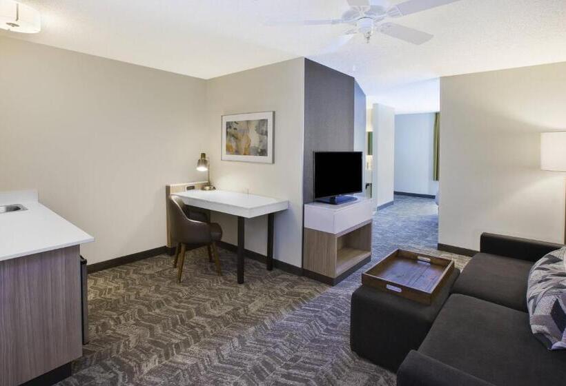 Люкс Кровать Кинг, Springhill Suites Minneapolisst. Paul Airport/eagan