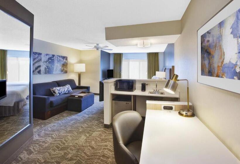 Номер Стандартный Кровать Куин, Springhill Suites Minneapolisst. Paul Airport/eagan