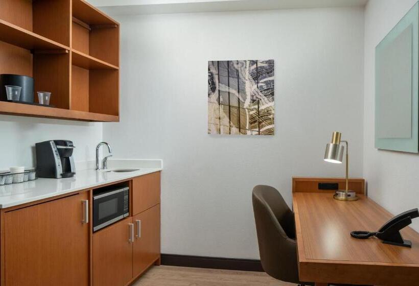 Standard Stúdió Szoba Queen Size Bed, Springhill Suites By Marriott Charleston Riverview