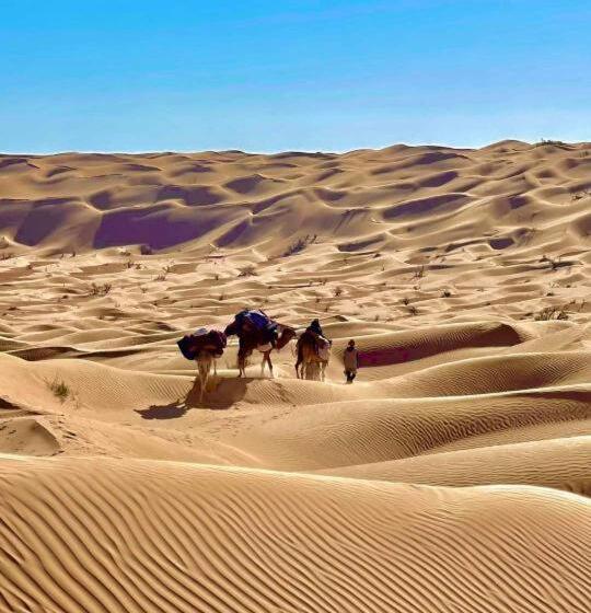 Трехместный Номер Стандарт Вид на Сад, Grand Sud, La Maison De Sable