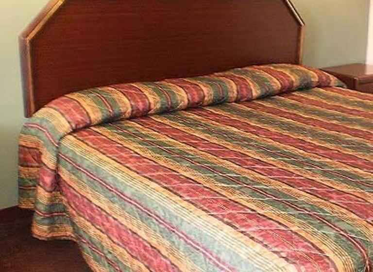 带大床的标准间, Executive Inn & Suites   Covington