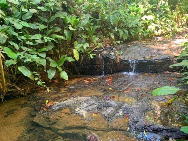 בית, חדר שינה 1, Private Jungle “loft Del Rio” River Access