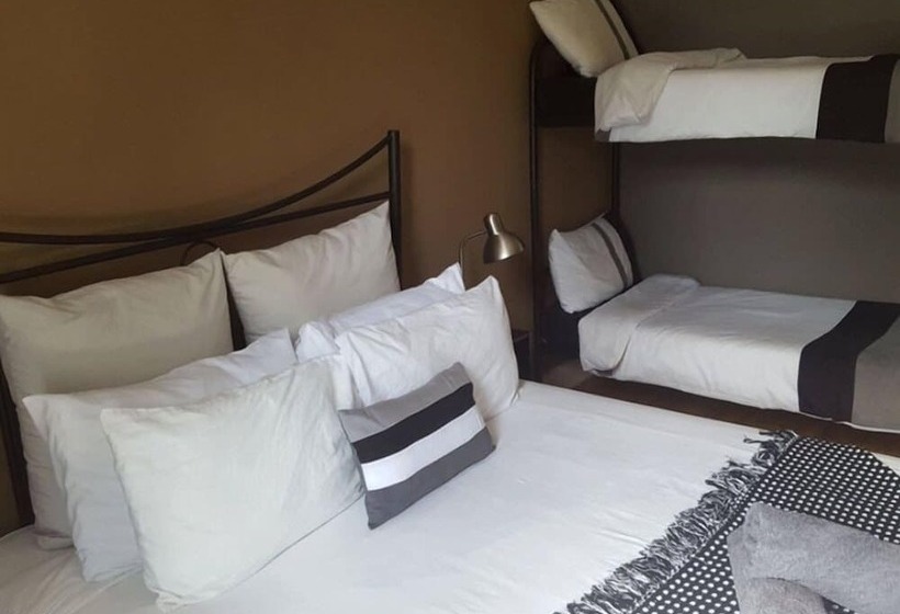 标准间, Stumble Inn Backpackers Lodge