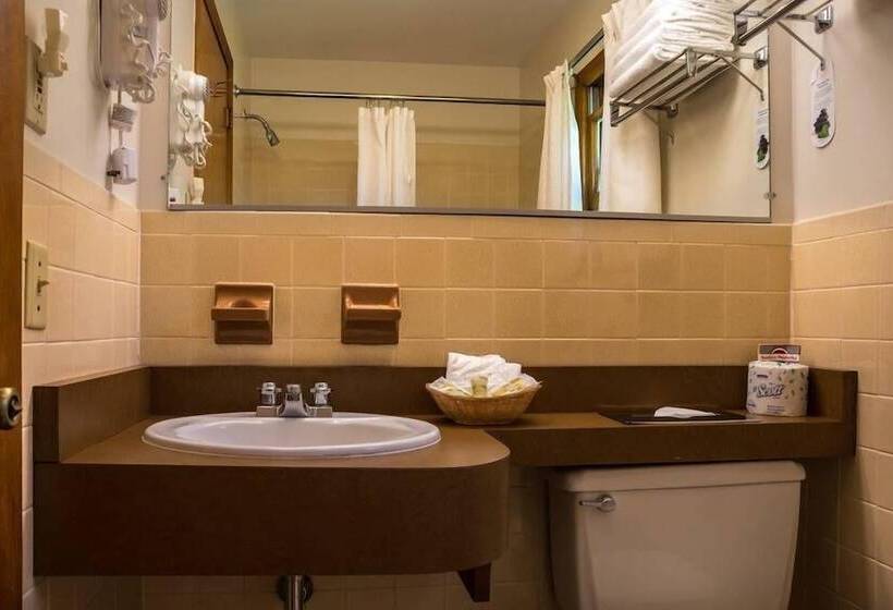 Номер Deluxe Кровать Куин, T Bird Motor Inn