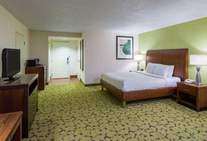 اتاق استاندارد با تخت بزرگ, Hilton Okinawa Sesoko Resort